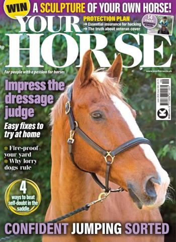Your Horse - June 2026 cover