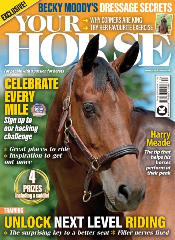 Your Horse - Spring 2026 cover