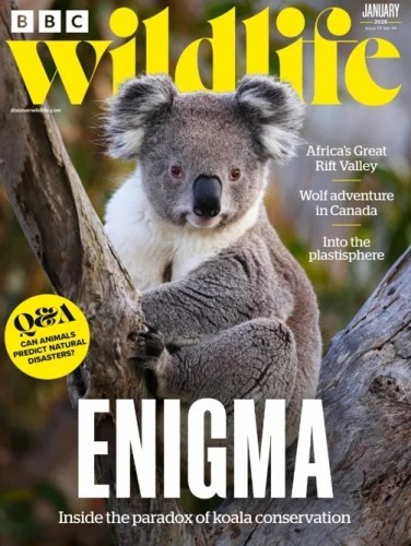 BBC Wildlife Magazine - Vol.44 Issue 1301, January 2026