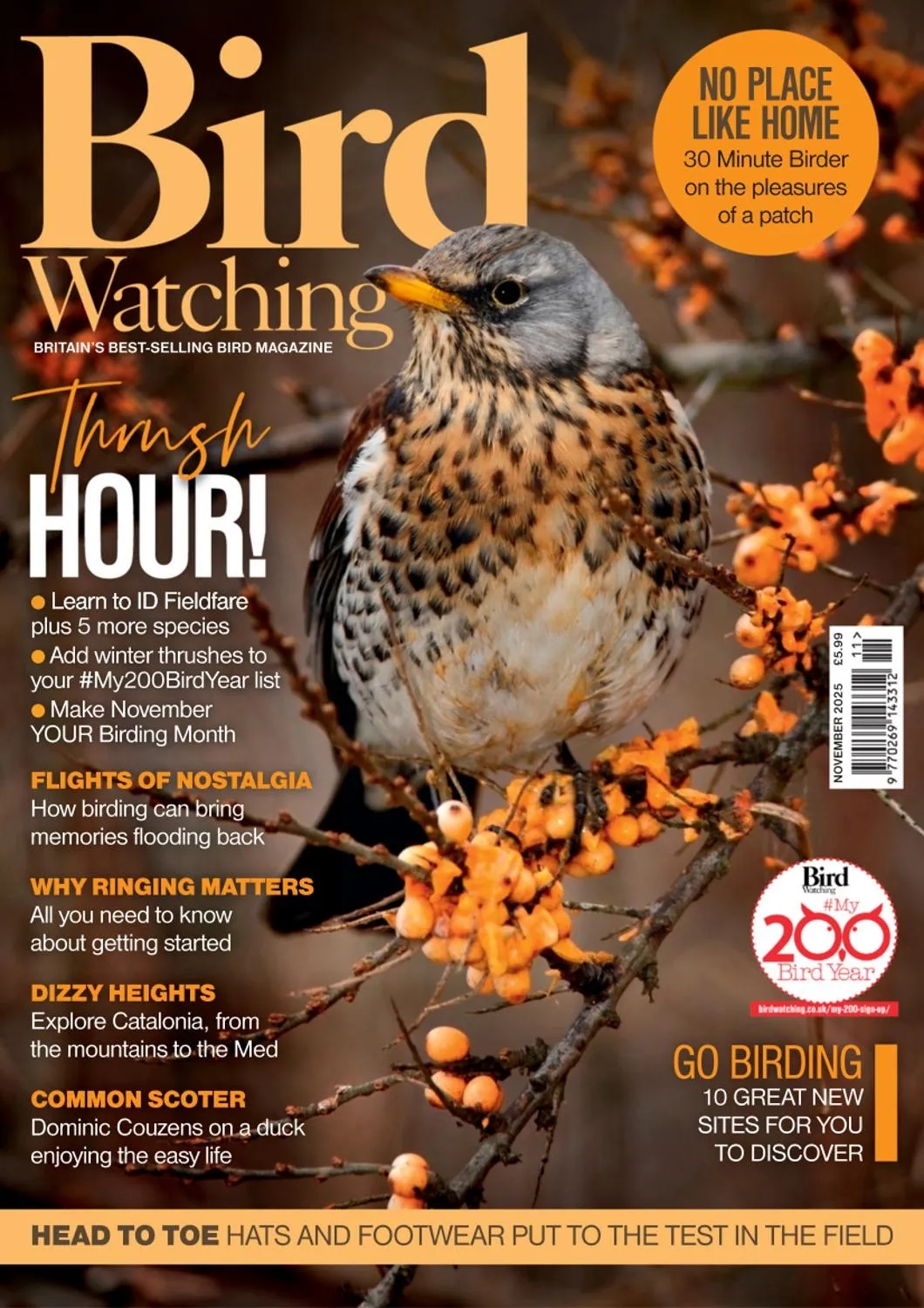 Bird Watching UK - November 2025