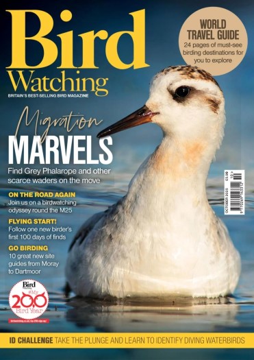 Bird Watching UK - October 2025