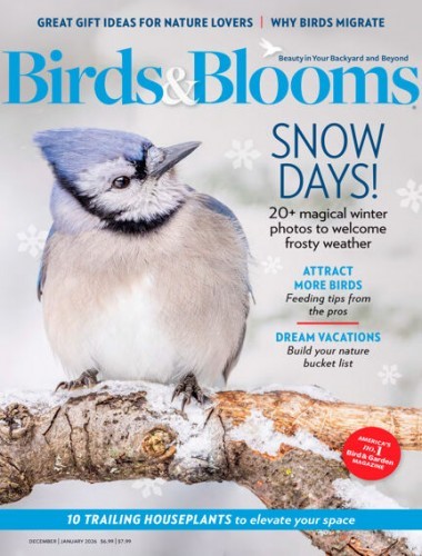 Birds and Blooms - December 2025 January 2026