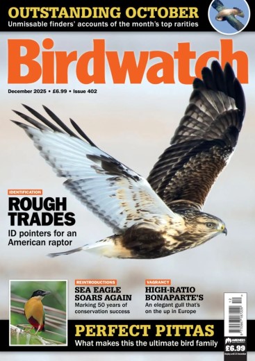 Birdwatch UK - December 2025