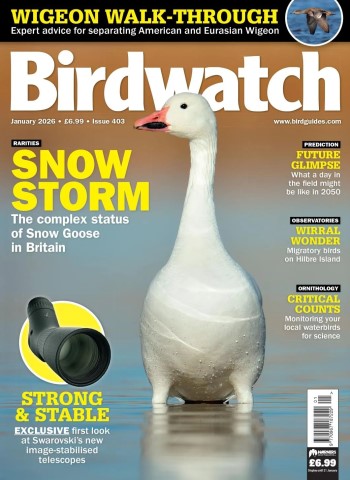 Birdwatch UK - January 2026 Magazine
