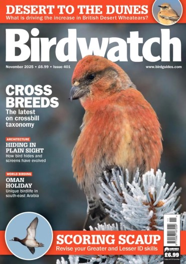 Birdwatch UK - November 2025