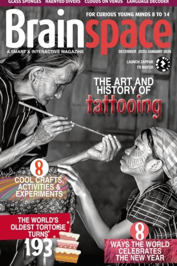 Brainspace - December 2025 - January 2026