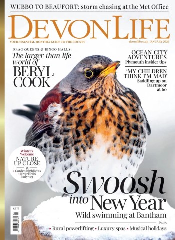 Devon Life - January 2026 Magazine