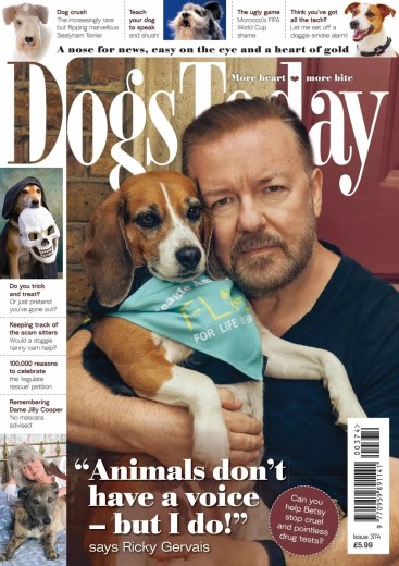 Dogs Today UK - Issue 374 2025