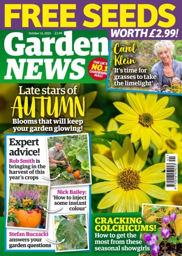 Garden News - 11 October 2025