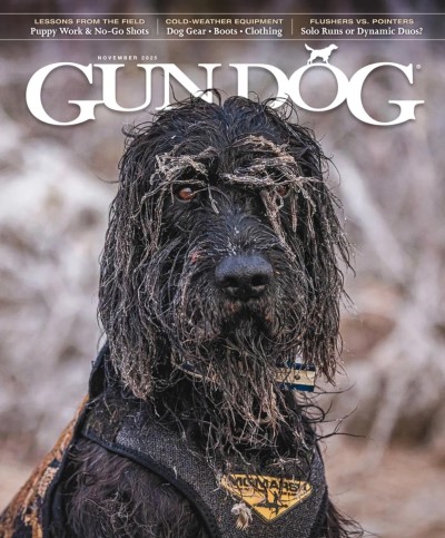 Gun Dog - 3 November 2025