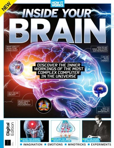 How It Works Inside Your Brain - 6th Edition - July 2025