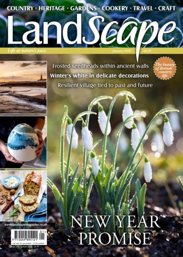 Landscape UK - January 2026