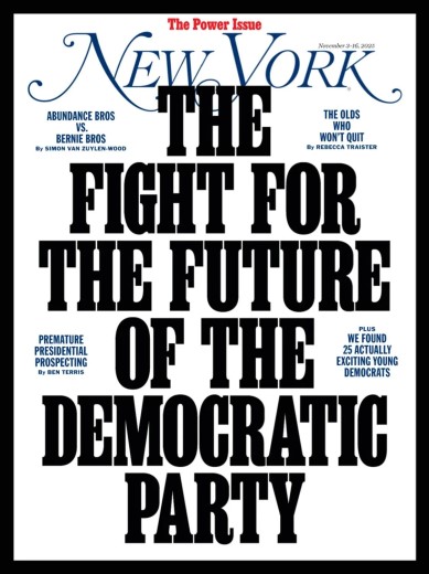 New York Magazine - 3 November 2025