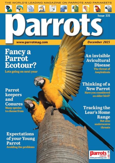 Parrots - December 2025