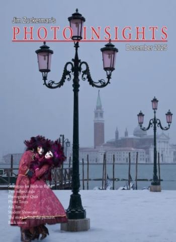Photo Insights - December 2025 Magazine