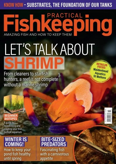 Practical Fishkeeping - October 2025