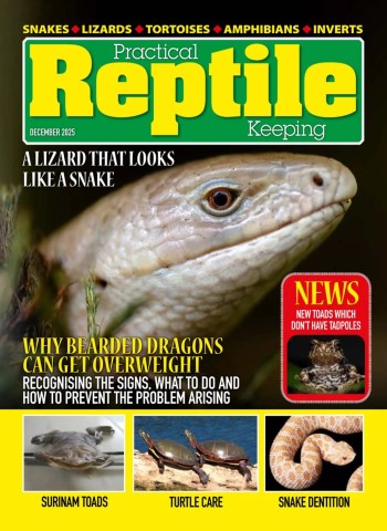 Practical Reptile Keeping - December 2025 Magazine