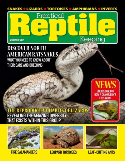Practical Reptile Keeping - November 2025