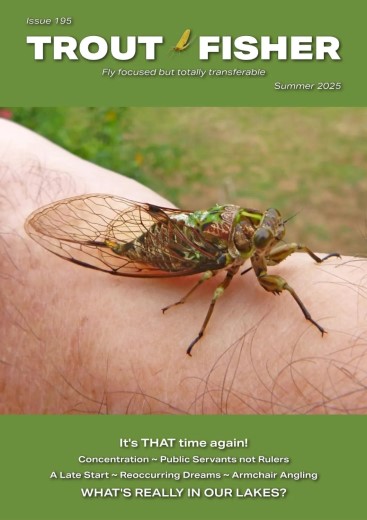 Trout Fisher - Summer 2025