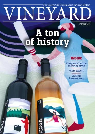 Vineyard - October 2025