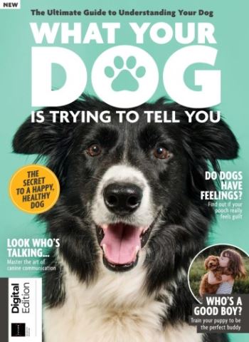 What Your Dog Is Trying To Tell You - 7th Edition - July 2025 Magazine