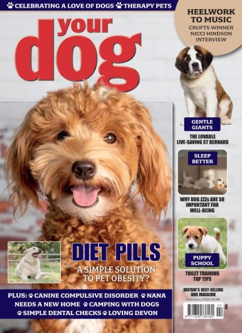 Your Dog - February 2026 Magazine