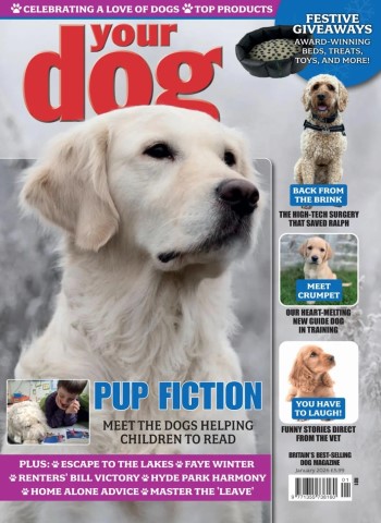 Your Dog - January 2026 Magazine