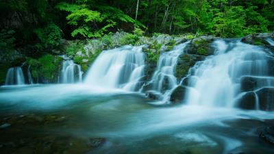 Beautiful Forest Waterfall wallpaper