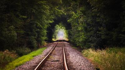 Railway Forest Tree Tunnel wallpaper