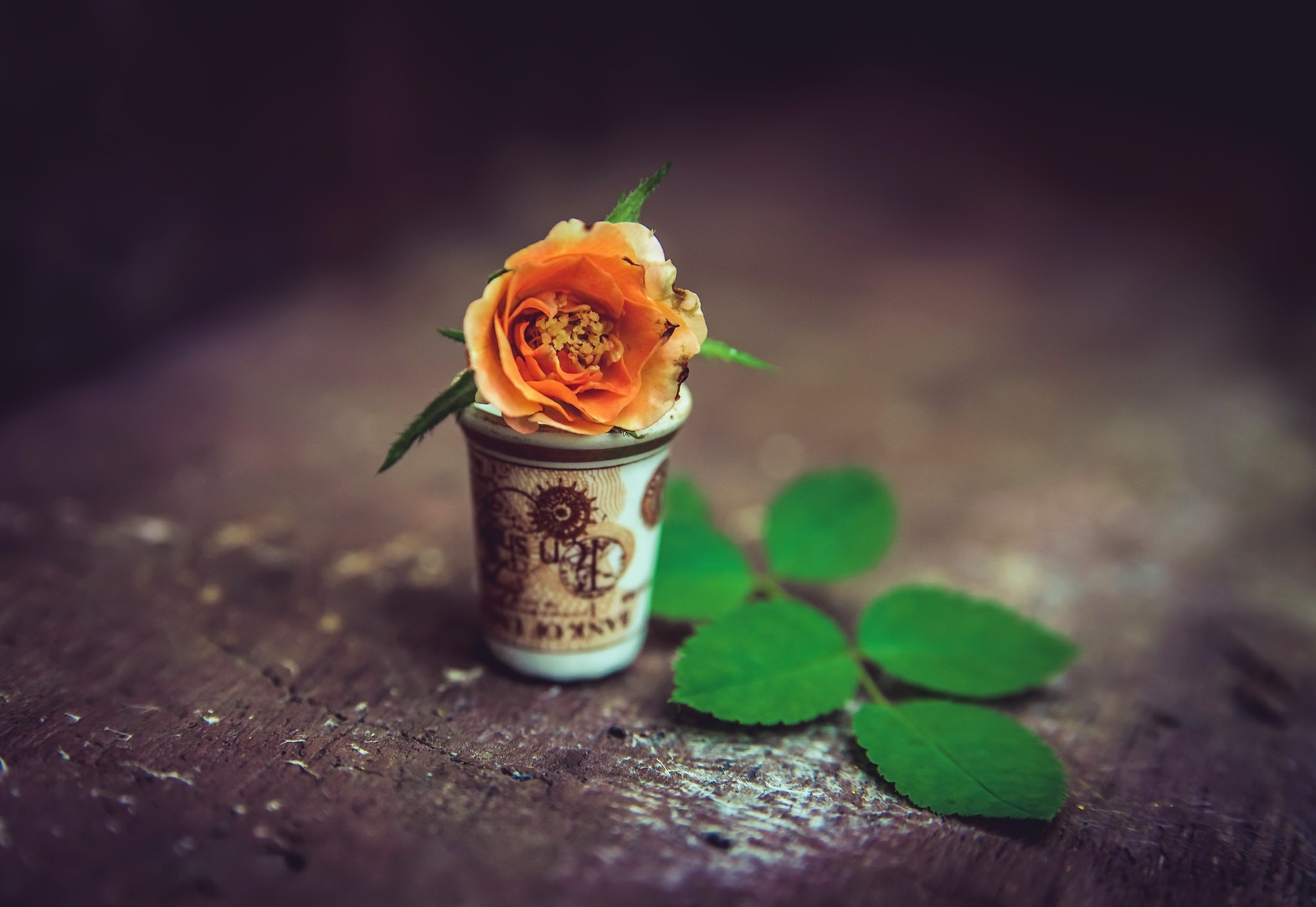 Flower in a cup Wallpaper