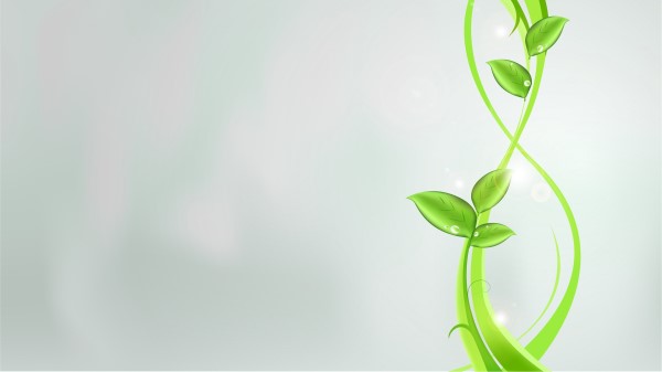 Abstraction Petals Lines Patterns wallpaper