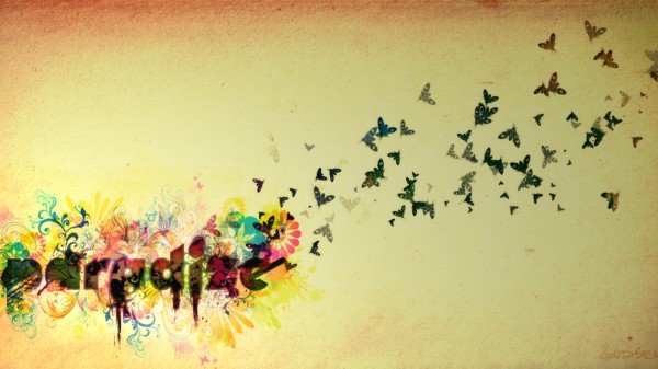 Flight Sky Butterflies Birds Bright Image Wallpaper