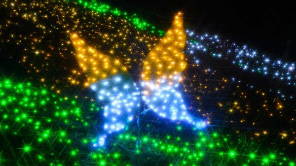 Glitter Butterfly Abstraction Image wallpaper