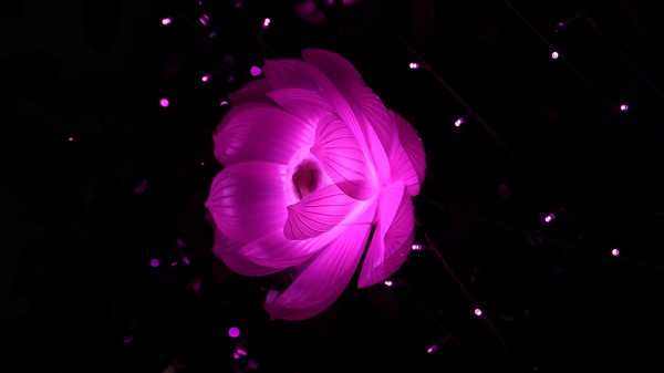Lotus Abstraction Light Flower Image Wallpaper