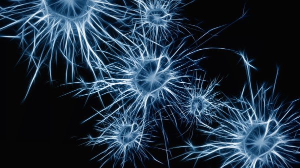 Neurons Cell Structure Image Wallpaper