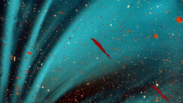 Paint Splatter Stains wallpaper