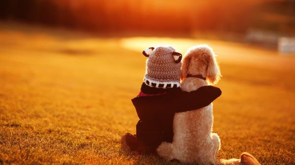 Best Friends Cute Child Dog Hd Wallpaper