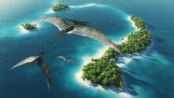 Dinosaurs Natural Park Hd Wallpaper