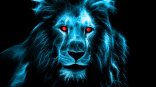 Lion Predator Big Cat Wallpaper