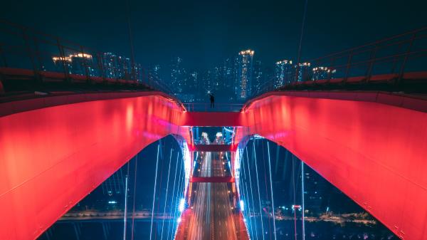 Bridge Aerial View Backlight wallpaper