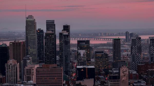City Buildings Aerial View Wall Wallpaper