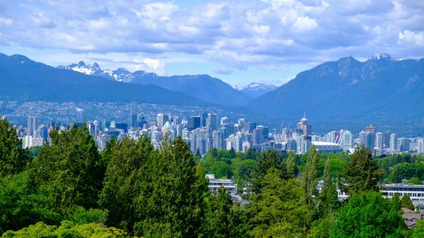City Buildings Trees Image wallpaper