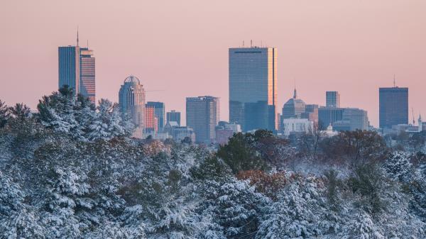 City Buildings Trees Img wallpaper