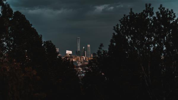 City Buildings Trees wallpaper