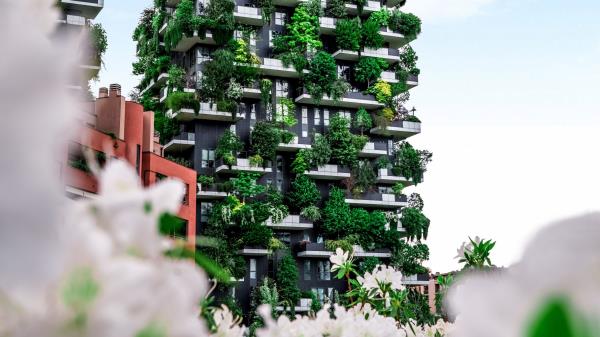 House Building Plants wallpaper