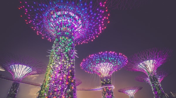 Singapore Artificial Trees Lighting Decoration City wallpaper