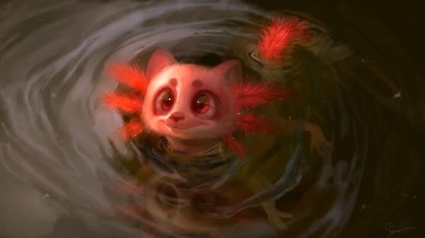 Animal Water Glance Wallpaper