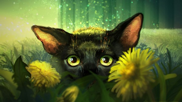 Cat Flowers Art Wallpaper