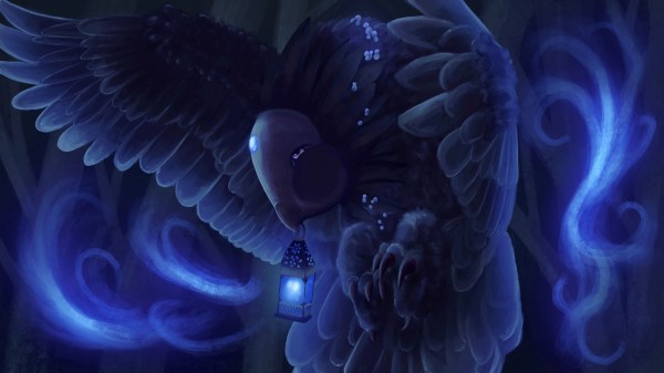 Creature Bird Feathers Wallpaper