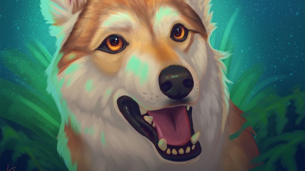 Dog Glance Tongue Protruding Wallpaper